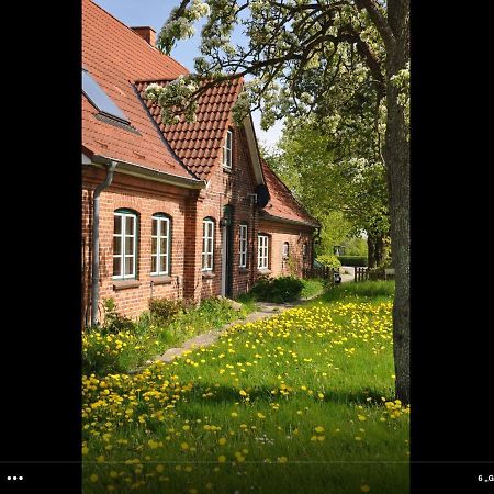Landhaus Hohenfelde Hohenfelde  Exterior photo