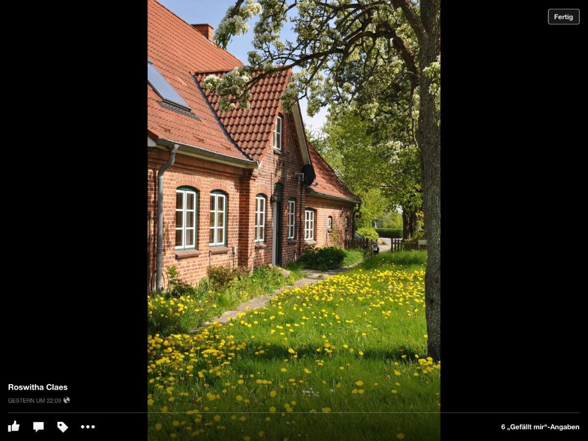 Landhaus Hohenfelde Hohenfelde  Exterior photo